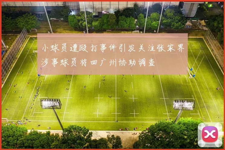 小球员遭殴打事件引发关注张家界涉事球员将回广州协助调查